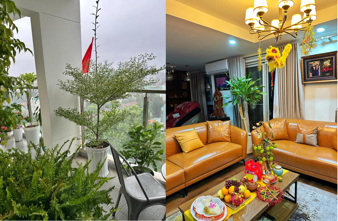 Không gian sống tiện nghi của Nguyên Khang