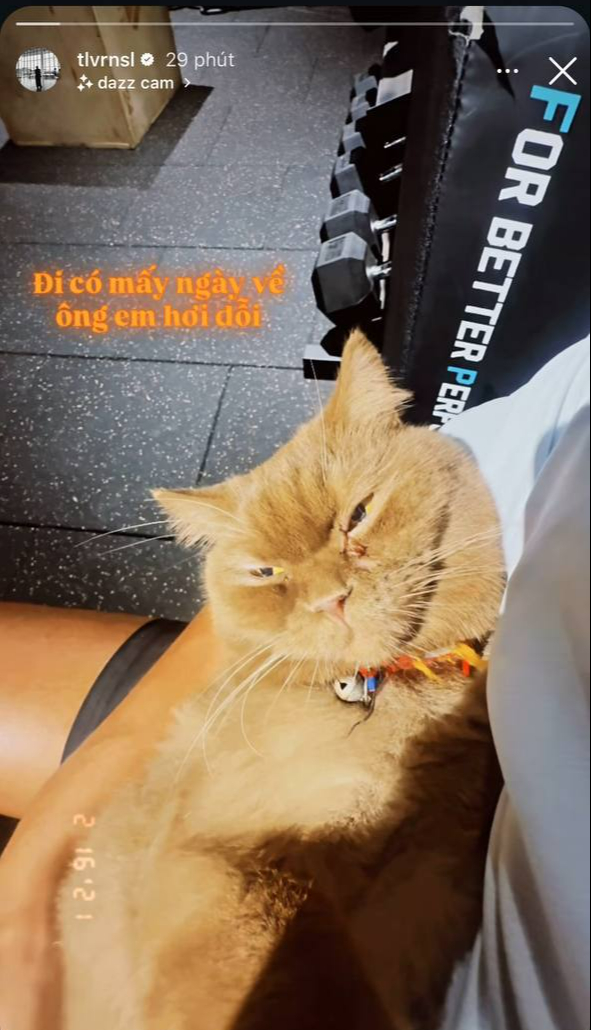 Touliver chụp cùng chú mèo trong biệt thự