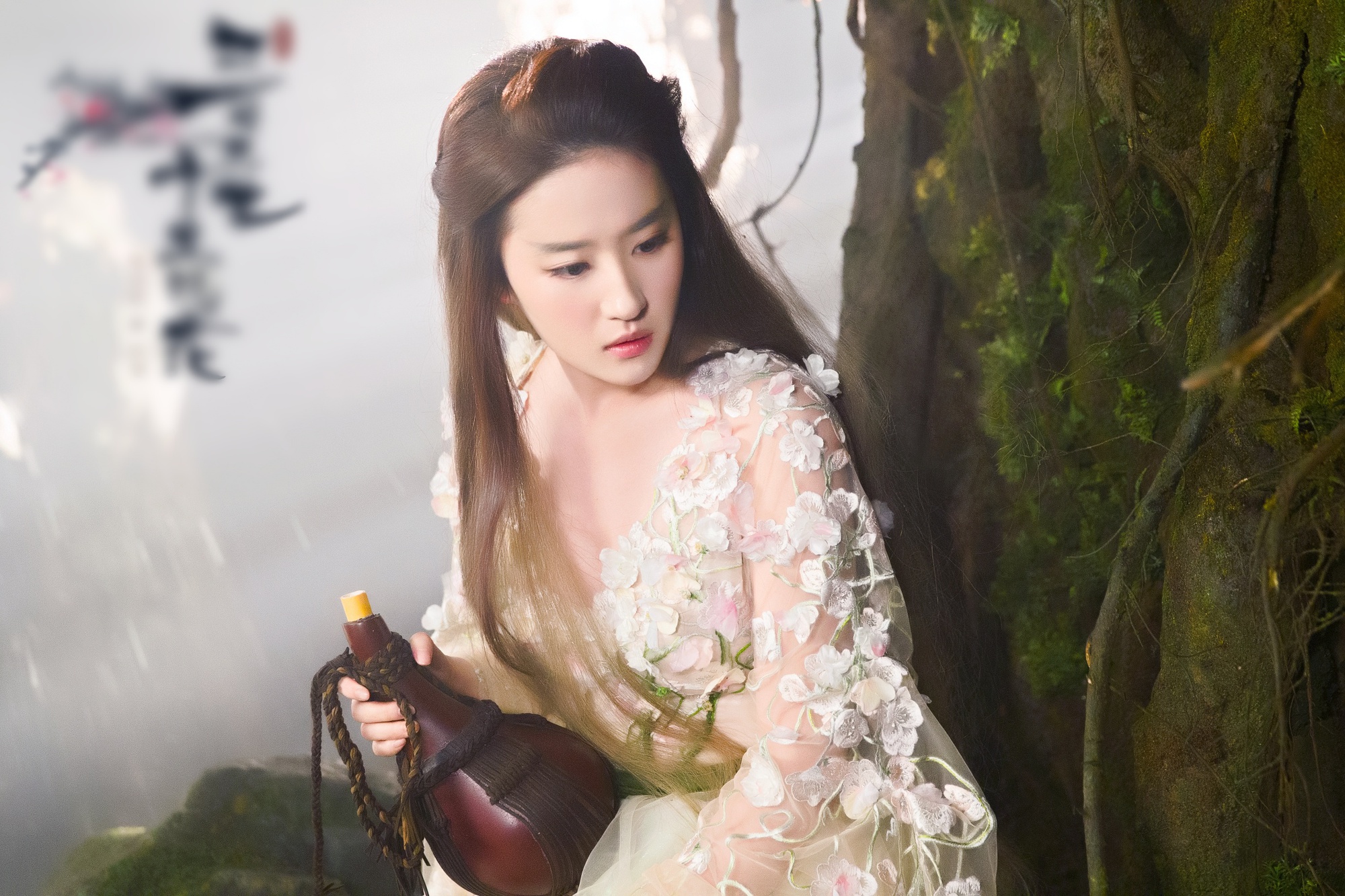 Lưu Diệc Phi tinh khiết, bí ẩn