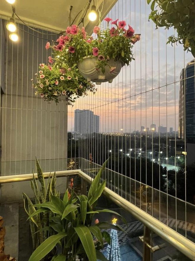 Hoa lá rực rỡ trên ban công