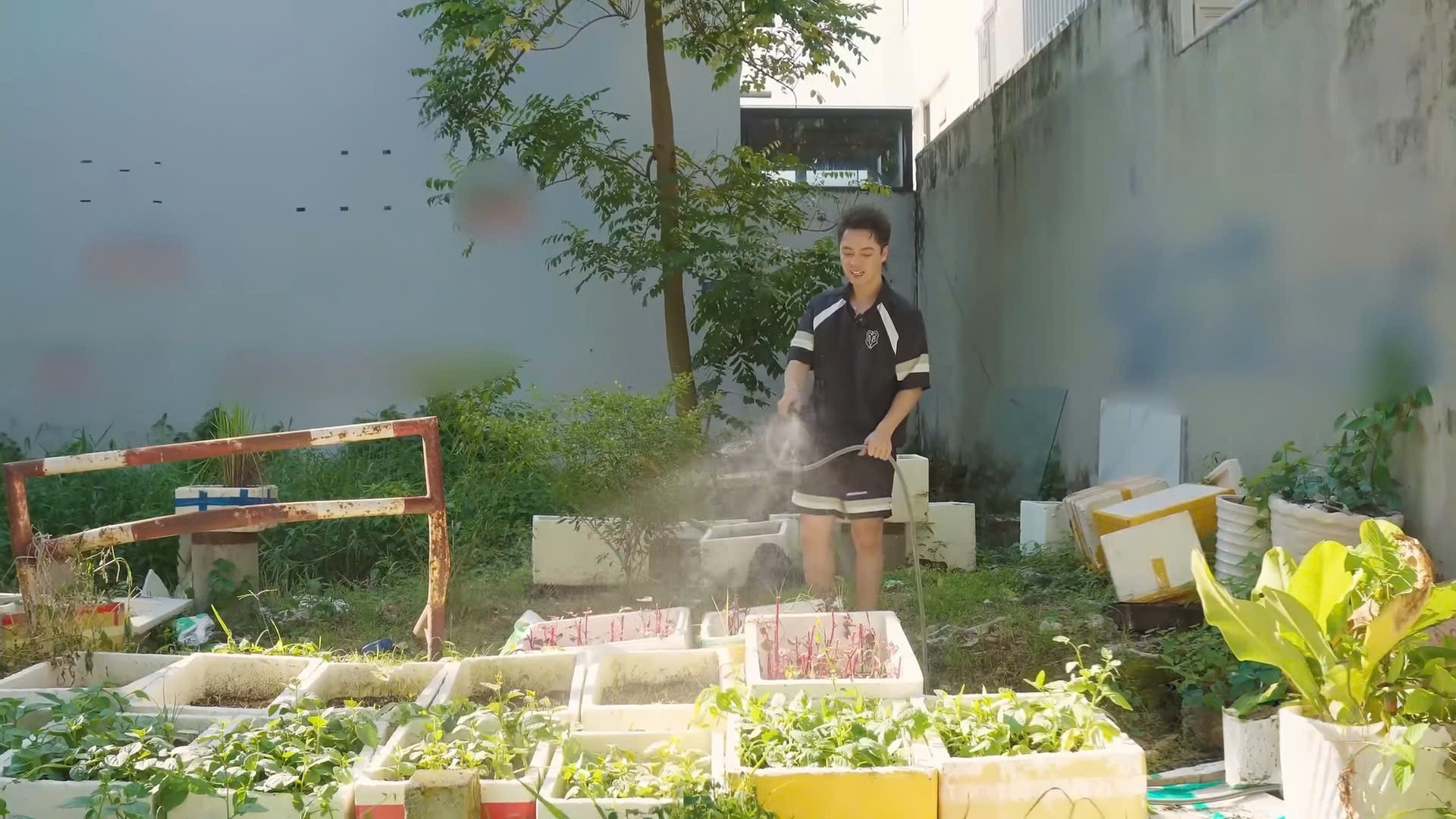 Biệt thự 2 triệu đô trong khu nhà giàu quận 7 của ca sĩ Đăng Khôi- Ảnh 7. Vườn rau đa dạng do Đăng Khôi trồng tại biệt thự