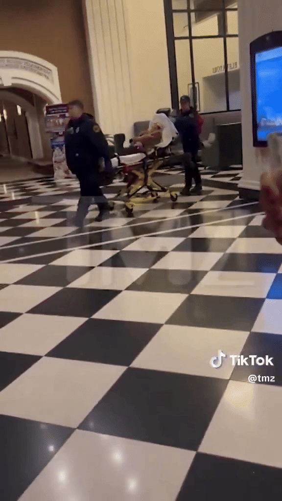 Cảnh Tara Reid được đưa đi bệnh viện trong tình trạng mất nhận thức