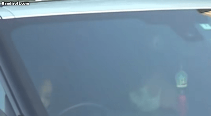 Cặp đôi phim giả tình thật lộ clip hẹn hò chấn động Khoảnh khắc thân mật của cặp đôi