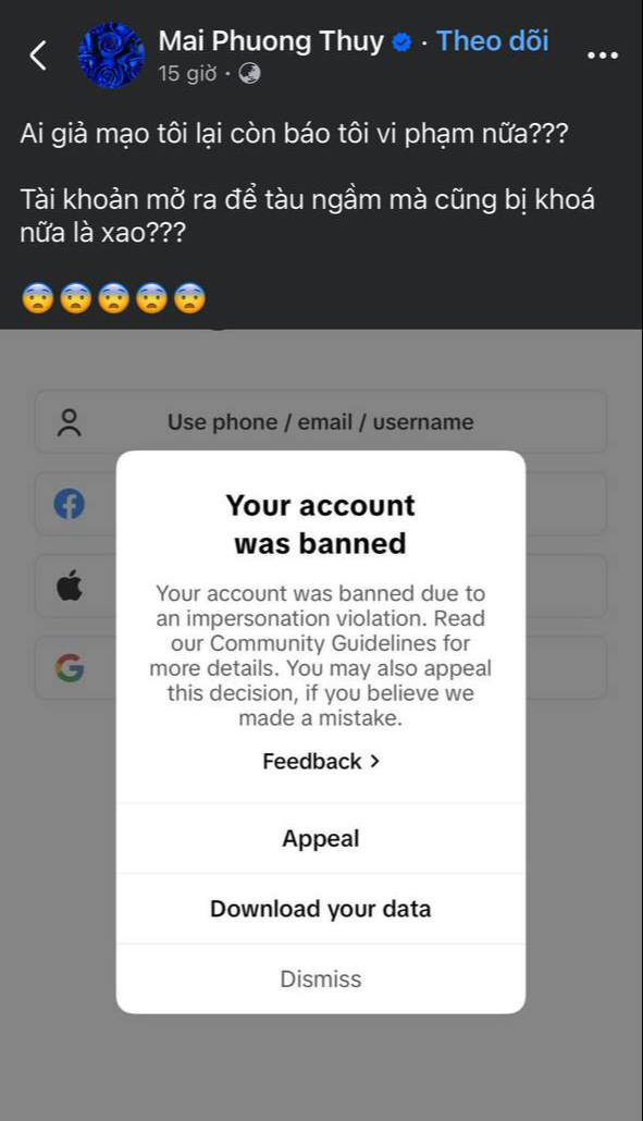Mai Phương Thúy lên tiếng- Ảnh 1. Mai Phương Thúy thông báo tài khoản TikTok bị cấm