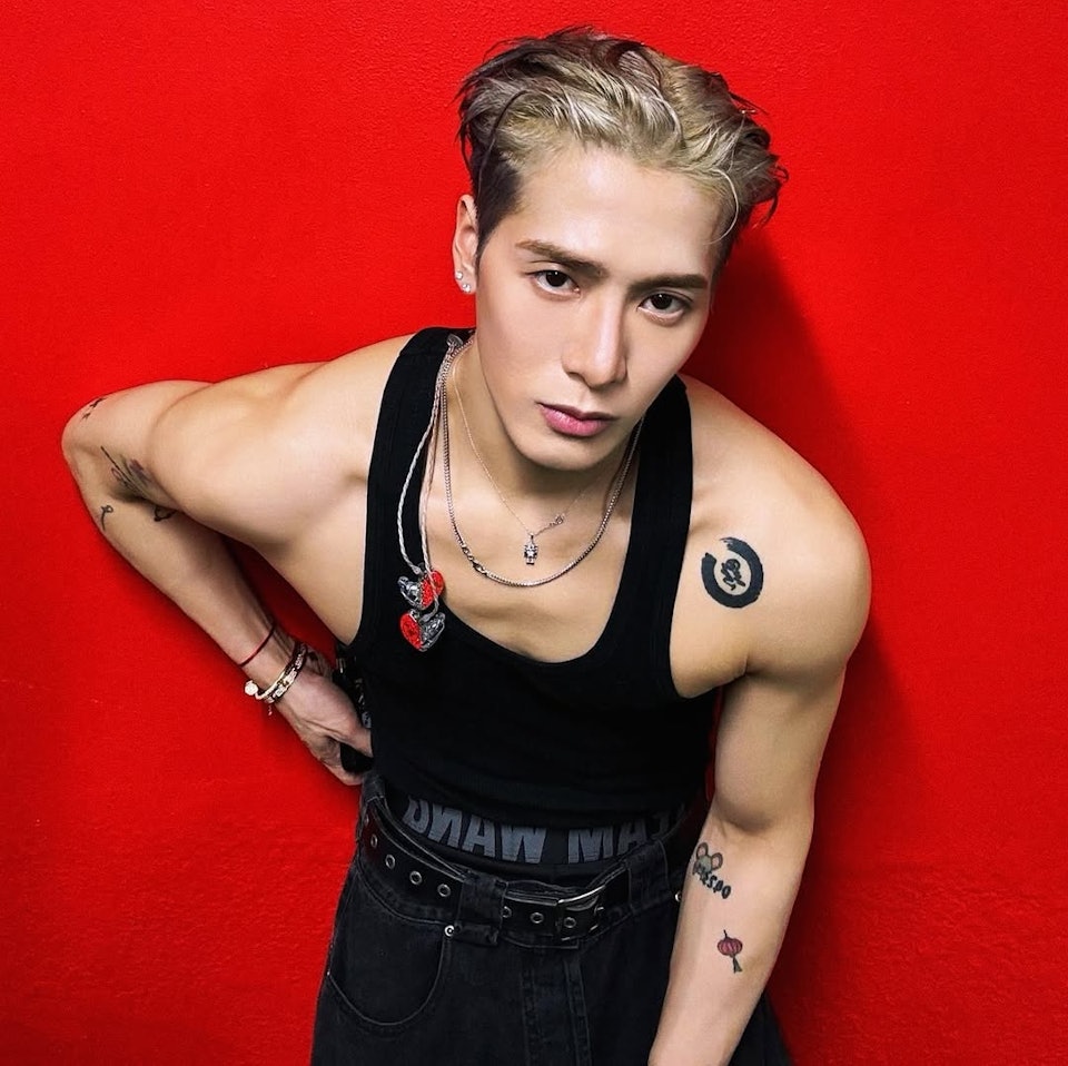 Vương Gia Nhĩ tạm ngừng hoạt động nghệ thuật để chữa bệnh