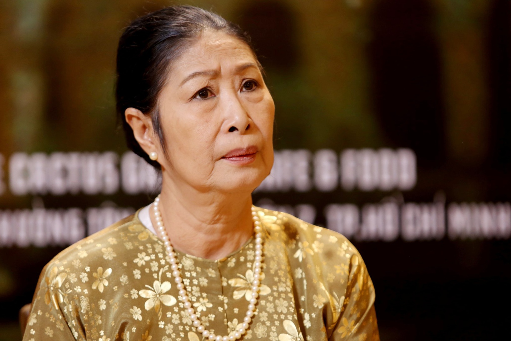 Nữ nghệ sĩ Kim Phương